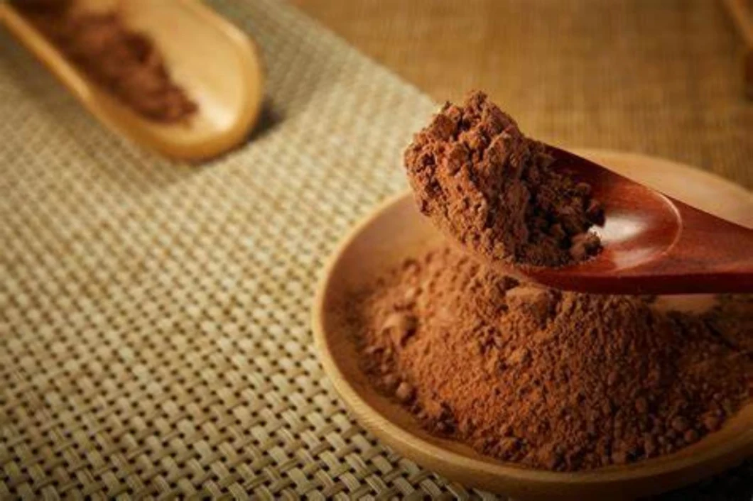 Alkalized Cocoa Powder Cocoa Powder Natural for Baking & Hot Chocolate