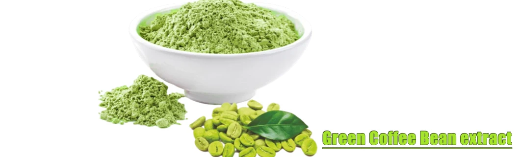 Hot Sell High Quality Green Coffee Bean Extract Powder