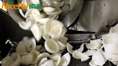 乳製品不使用のビーガンココナッツミルクパウダー ココナッツパウダー