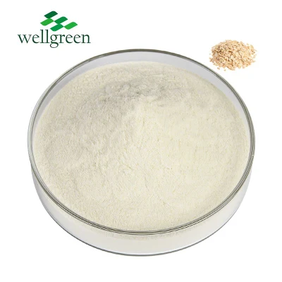 Wellgreen は、コーヒー、ミルク、アイスクリーム、チョコレート用の純粋な食品グレードの加水分解酵素オート麦パウダーを供給しています