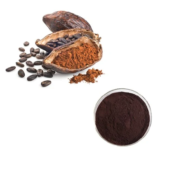 ケーキ、アイスクリーム、ビスケット、チョコレート、ココアの製造に最適なカカオ種子抽出粉末